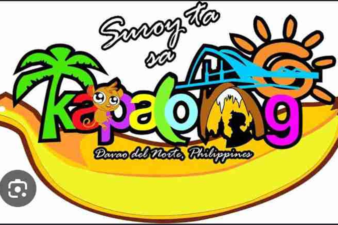 Land for Sale in Pag-Asa, Kapalong, Davao del Norte – photo 3