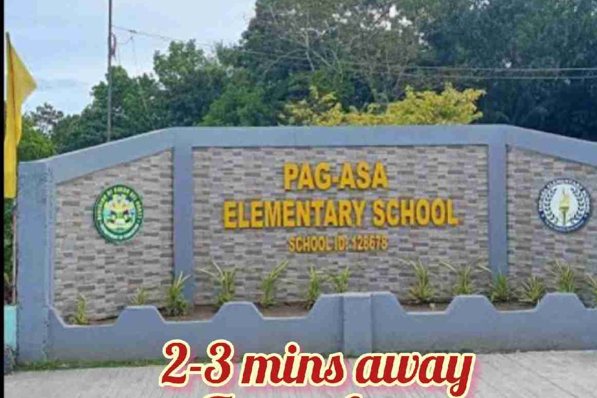 Land for Sale in Pag-Asa, Kapalong, Davao del Norte – photo 4