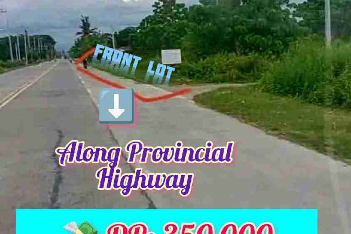 Land for Sale in Pag-Asa, Kapalong, Davao del Norte – photo 5