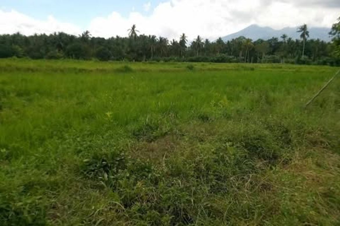 Land for Sale in Pag-Asa, Liliw, Laguna