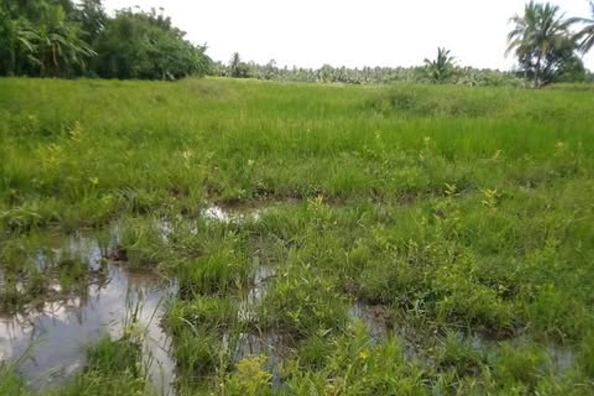 Land for Sale in Pag-Asa, Liliw, Laguna – photo 4