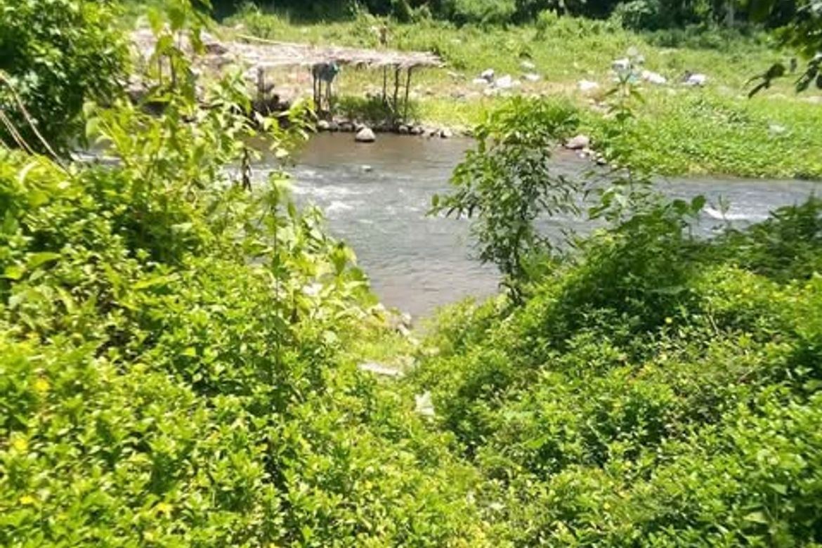 Land for Sale in Pag-Asa, Liliw, Laguna – photo 5