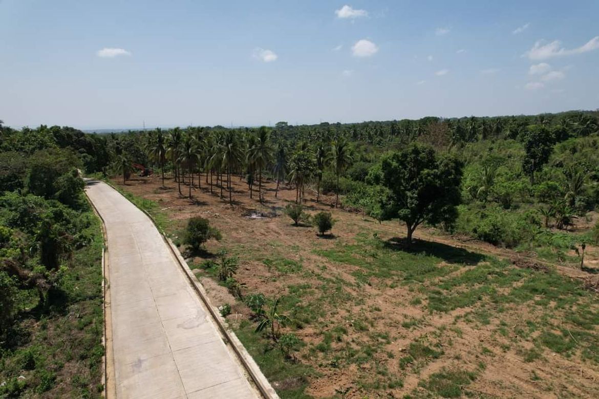 Land for Sale in Pag-Asa, Orani, Bataan