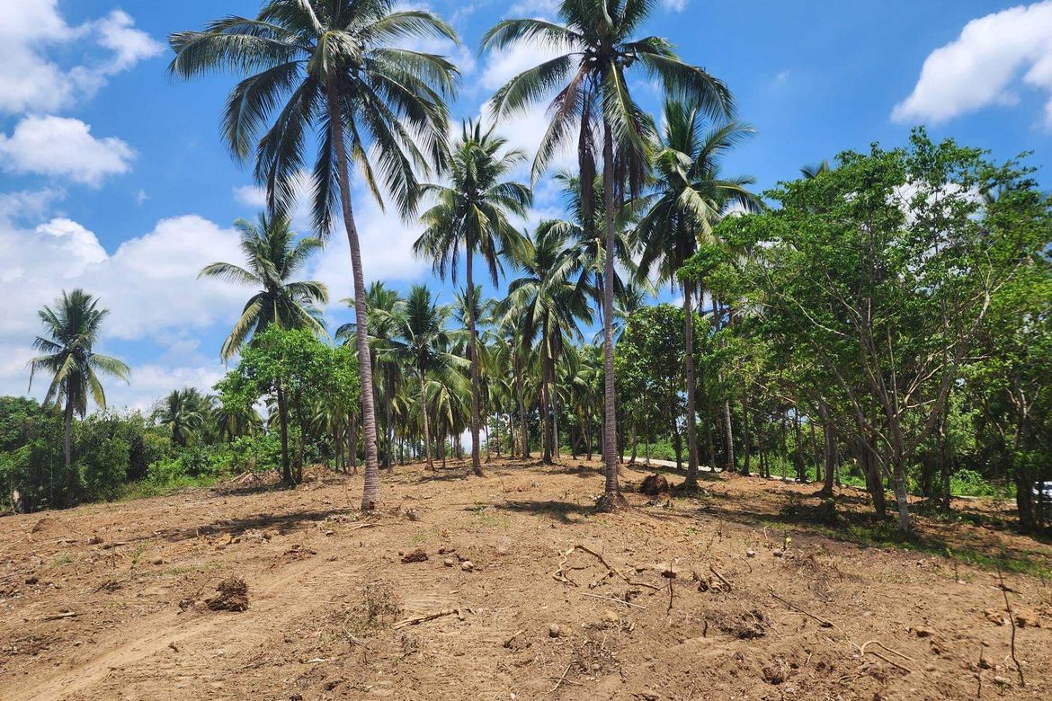 Land for Sale in Pag-Asa, Orani, Bataan – photo 3