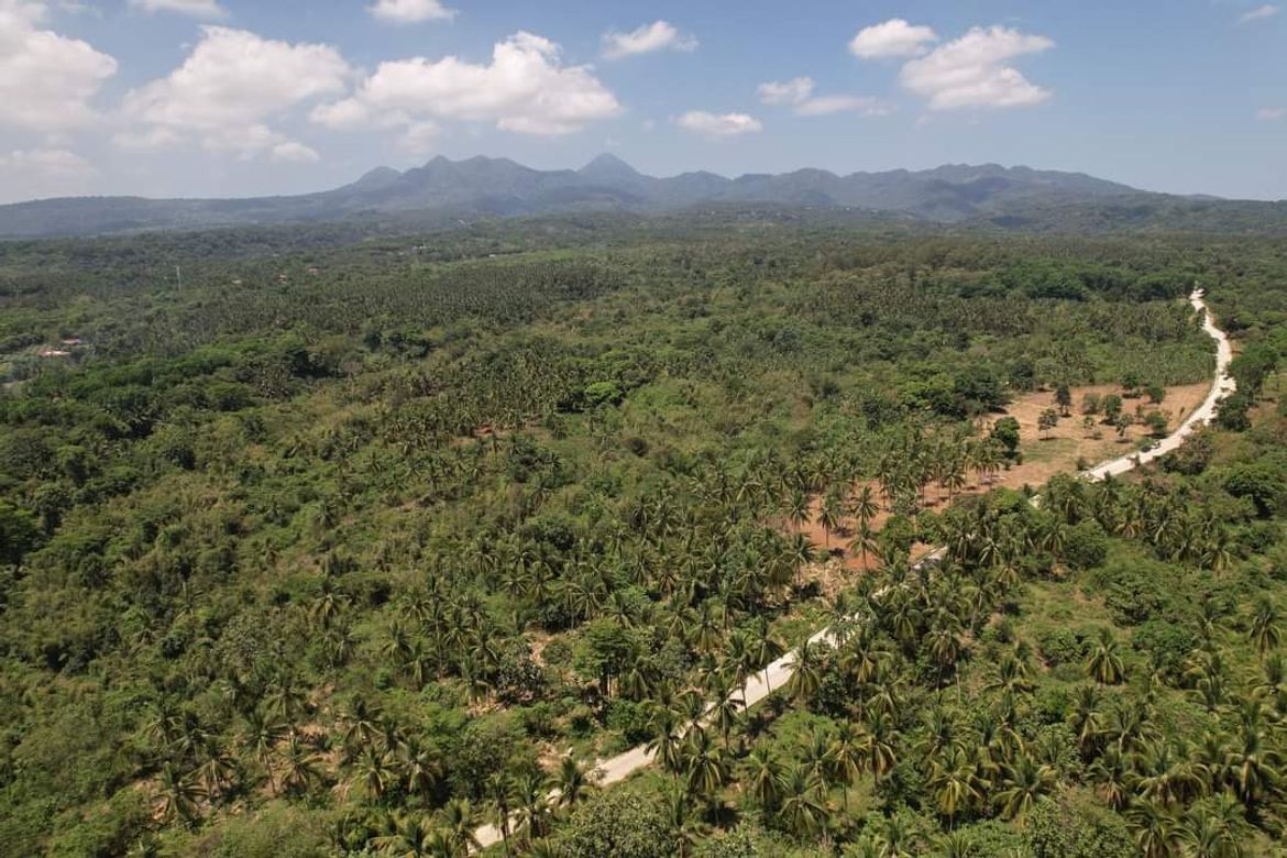 Land for Sale in Pag-Asa, Orani, Bataan – photo 5