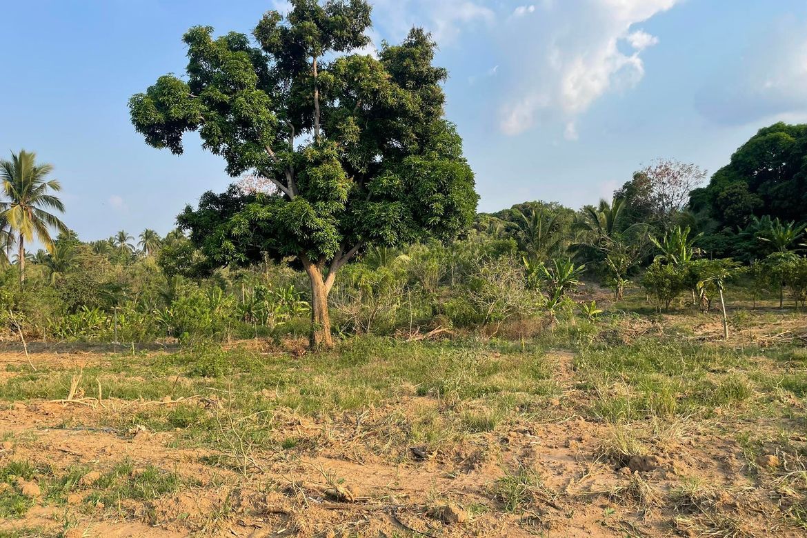 Land for Sale in Pag-Asa, Orani, Bataan – photo 6