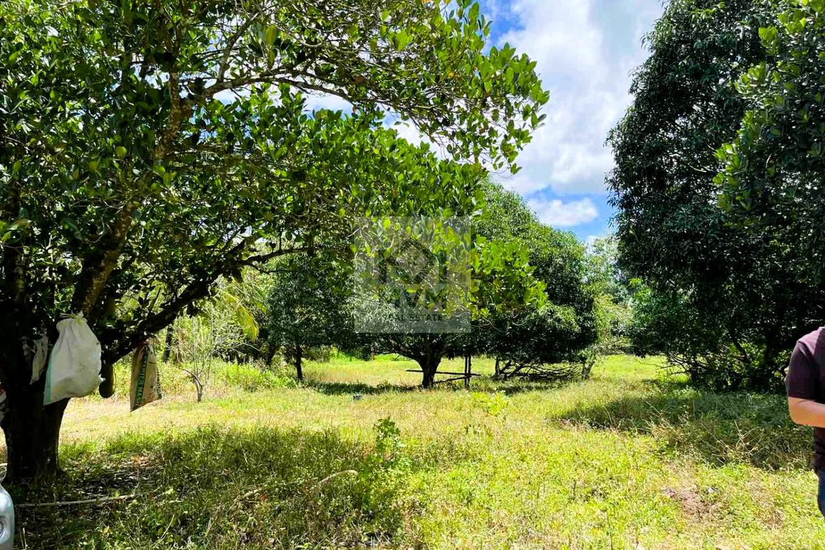 Land for Sale in Pag-Asa, Taysan, Batangas