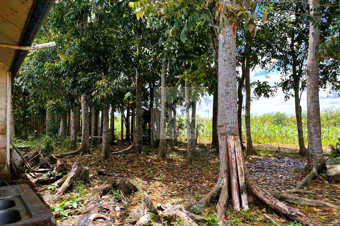 Land for Sale in Pag-Asa, Taysan, Batangas – photo 4