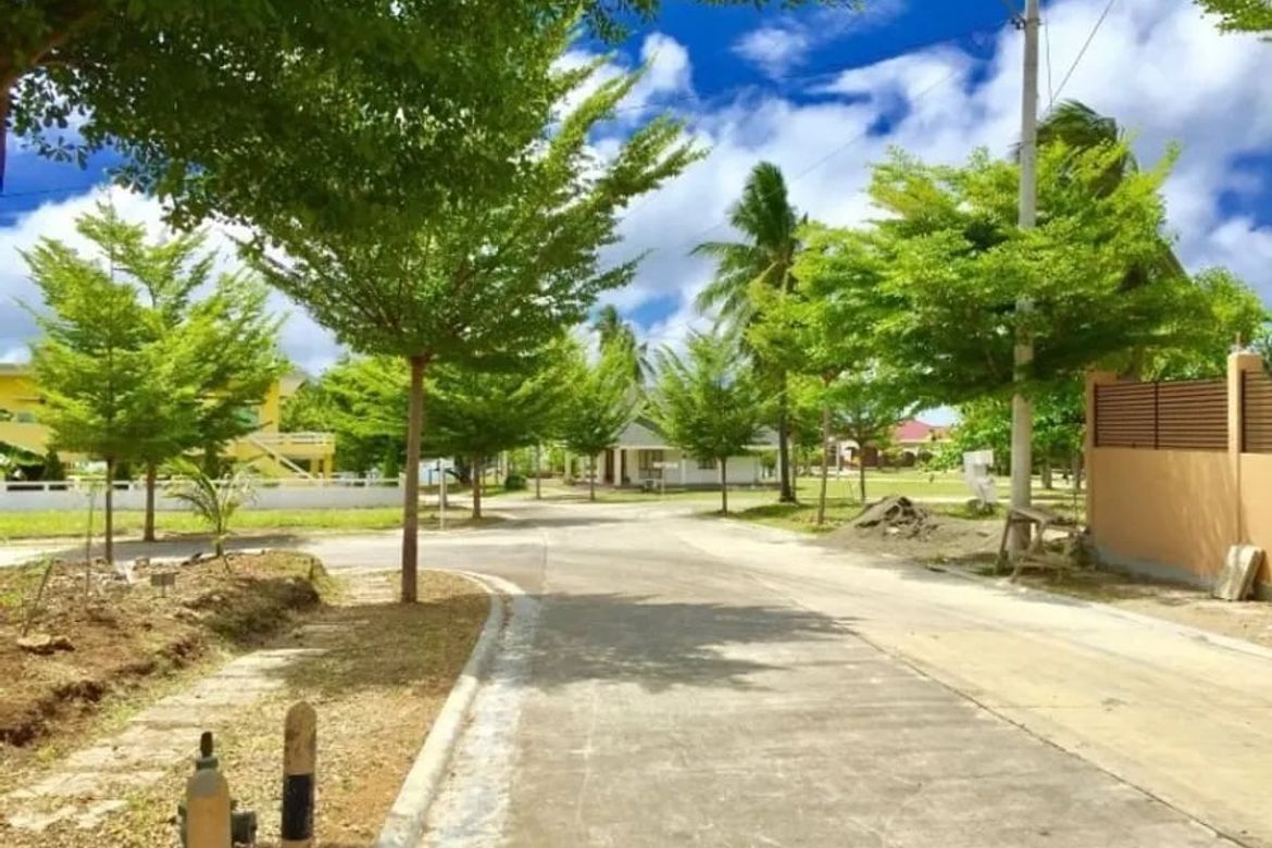 Land for Sale in Pagahan, Initao, Misamis Oriental – photo 6