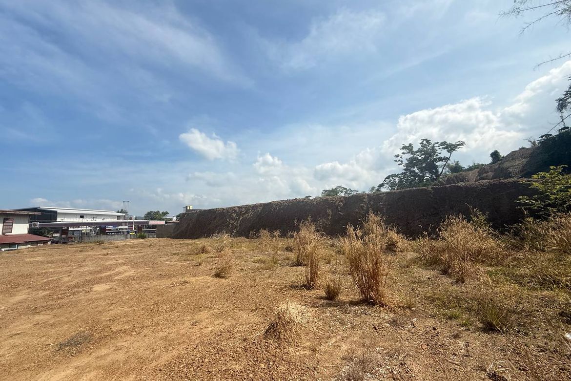 Land for Sale in Pagdaraoan, San Fernando, La Union – photo 2