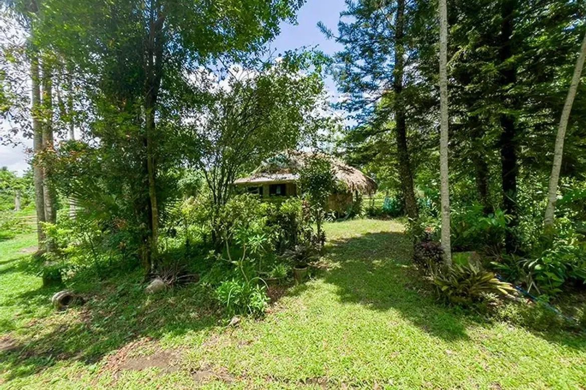 Land for Sale in Pagolingin Bata, Lipa, Batangas – photo 3