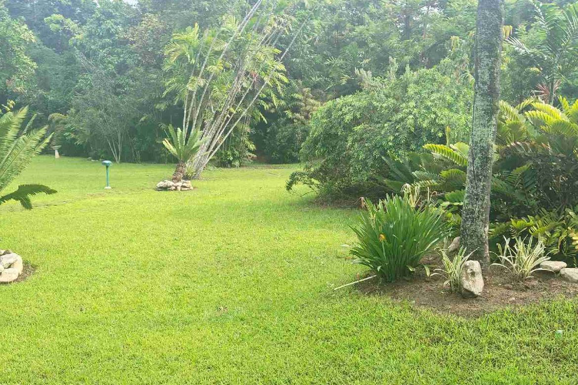 Land for Sale in Pagsabungan, Mandaue, Cebu – photo 3