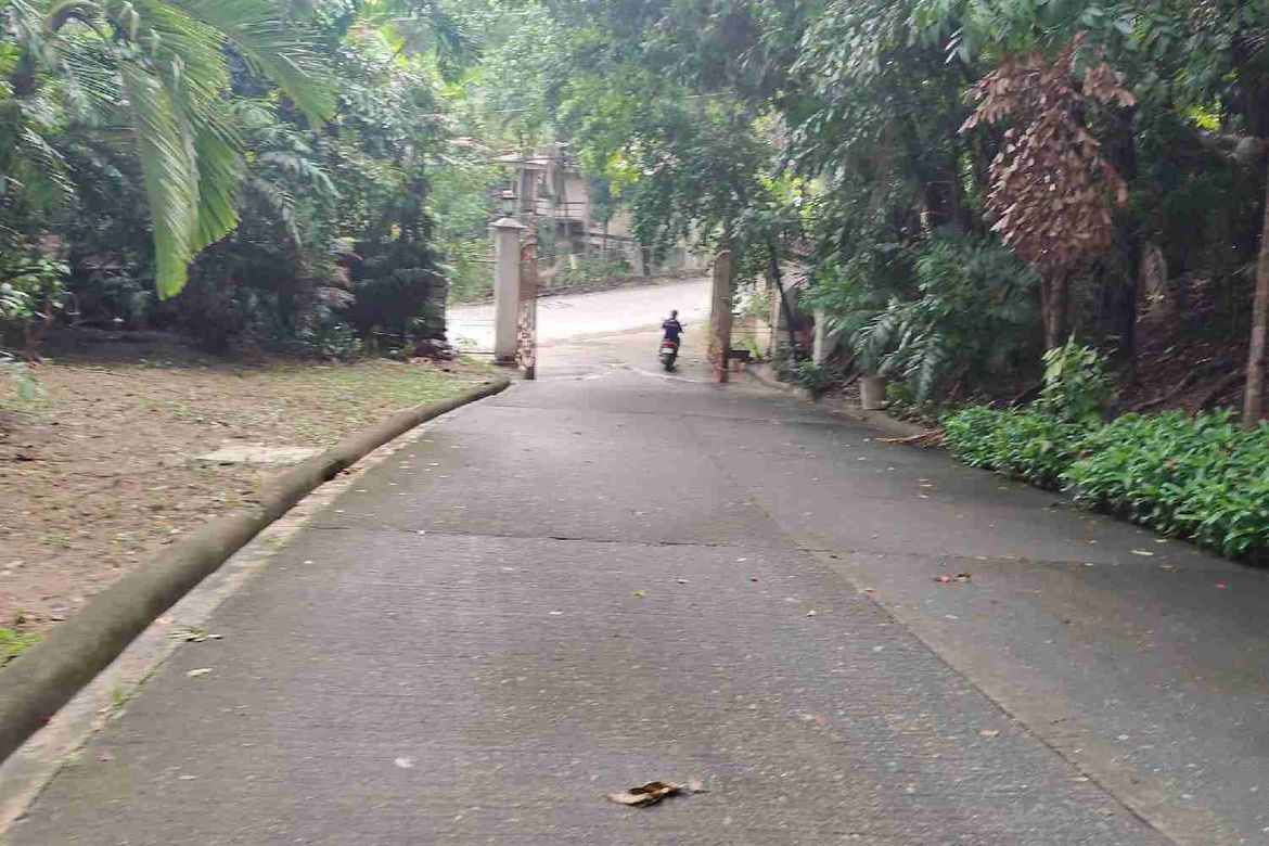 Land for Sale in Pagsabungan, Mandaue, Cebu – photo 6
