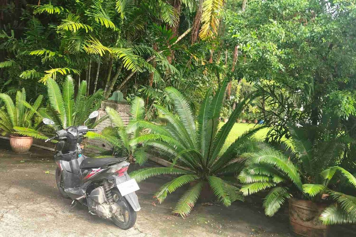 Land for Sale in Pagsabungan, Mandaue, Cebu – photo 7