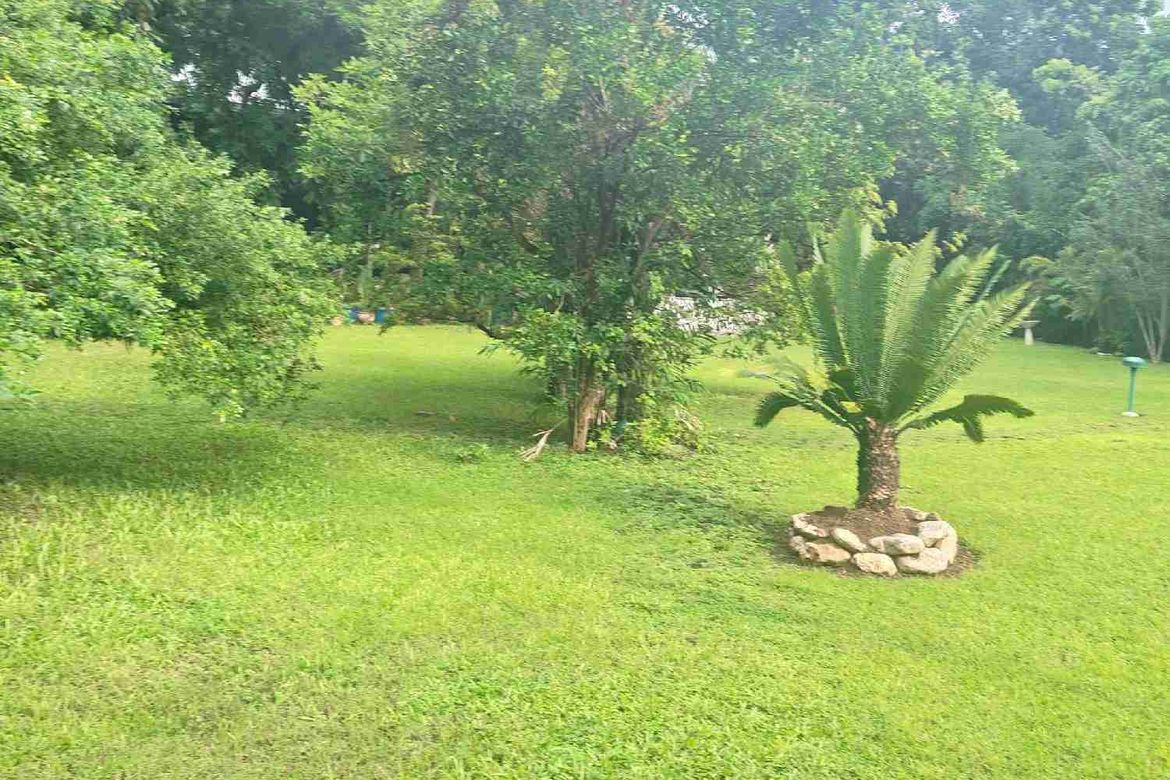Land for Sale in Pagsabungan, Mandaue, Cebu – photo 8