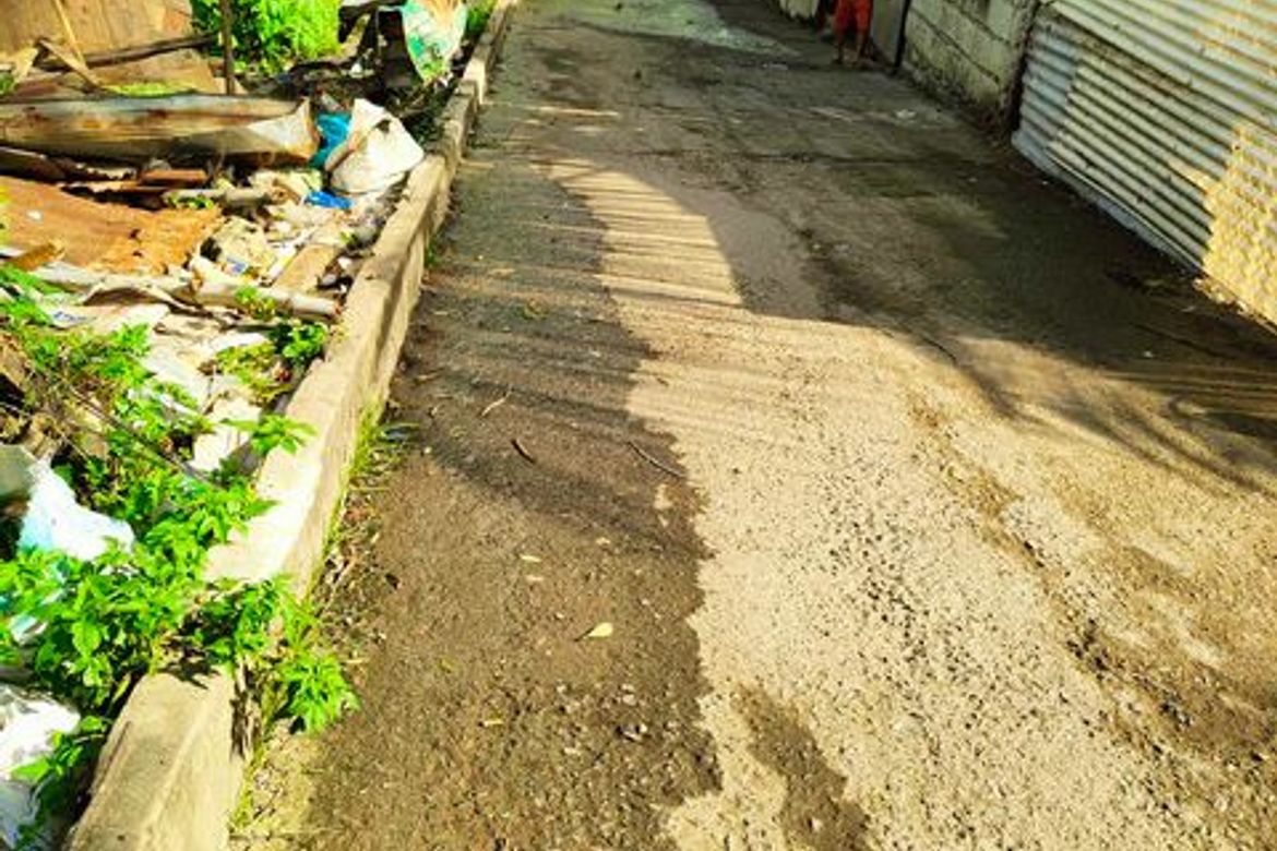 Land for Sale in Pagsabungan, Mandaue, Cebu – photo 5