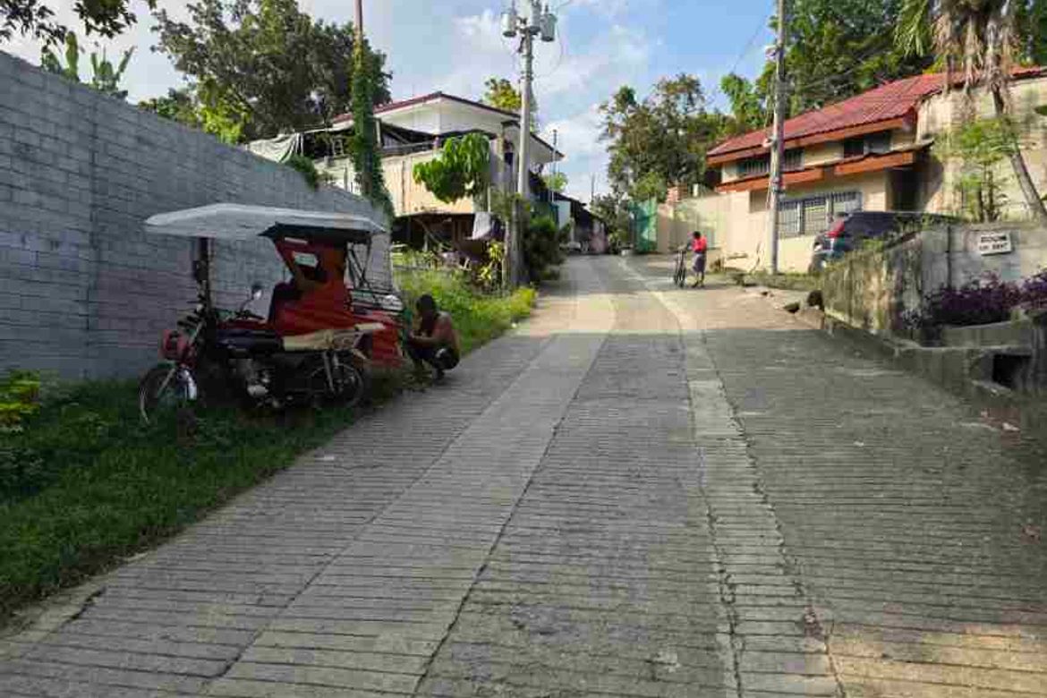 Land for Sale in Pagsabungan, Mandaue, Cebu – photo 3