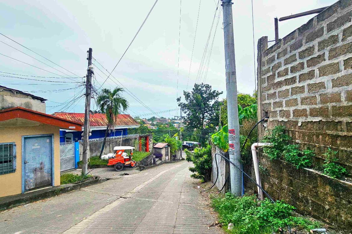 Land for Sale in Pagsabungan, Mandaue, Cebu – photo 5