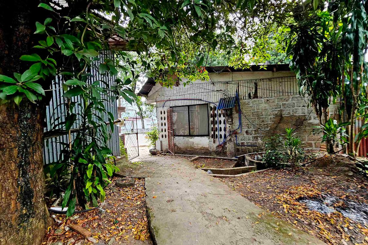 Land for Sale in Pagsabungan, Mandaue, Cebu – photo 6