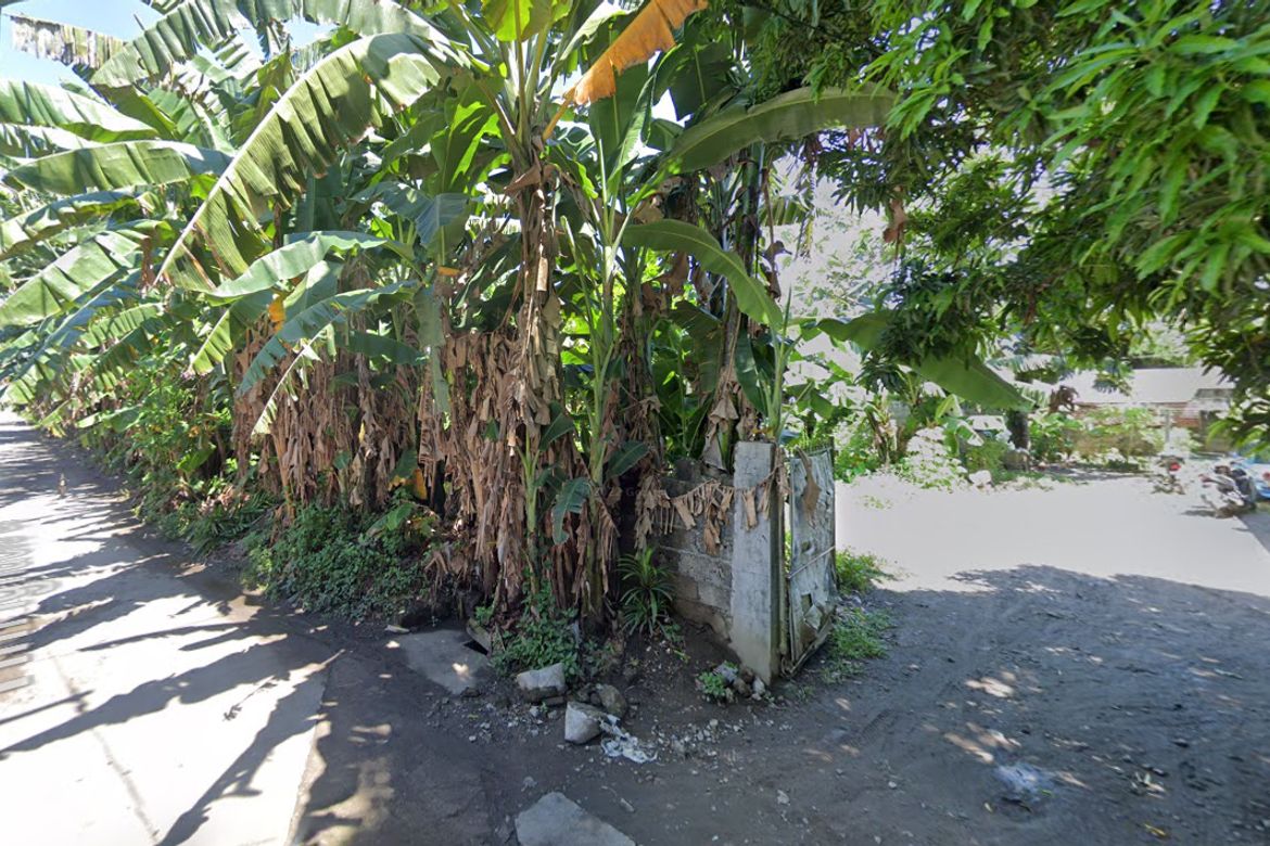 Land for Sale in Pagsawitan, Santa Cruz, Laguna – photo 2