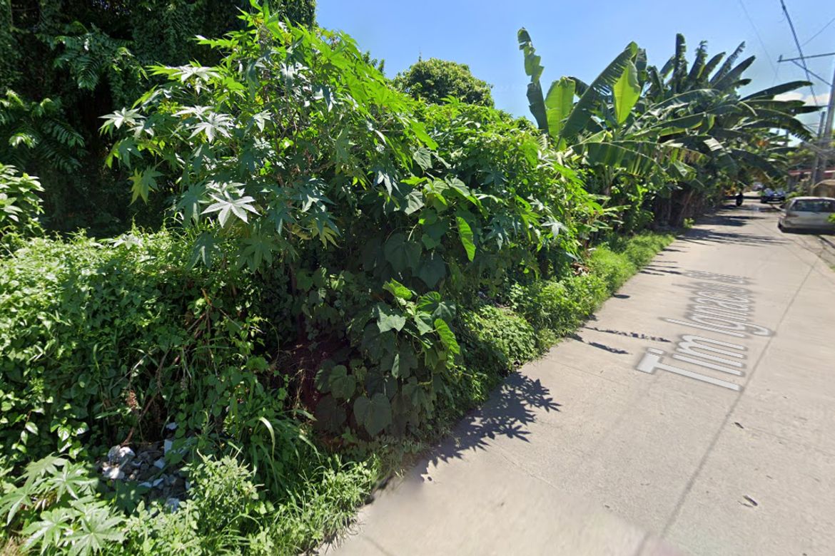 Land for Sale in Pagsawitan, Santa Cruz, Laguna – photo 3