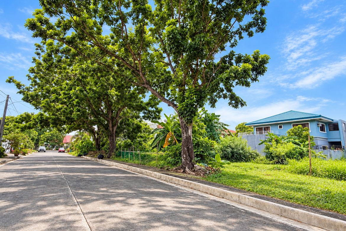 Land for Sale in Pahanocoy, Bacolod, Negros Occidental – photo 2