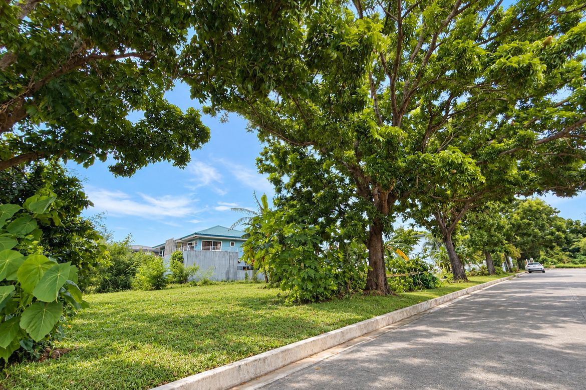 Land for Sale in Pahanocoy, Bacolod, Negros Occidental – photo 3