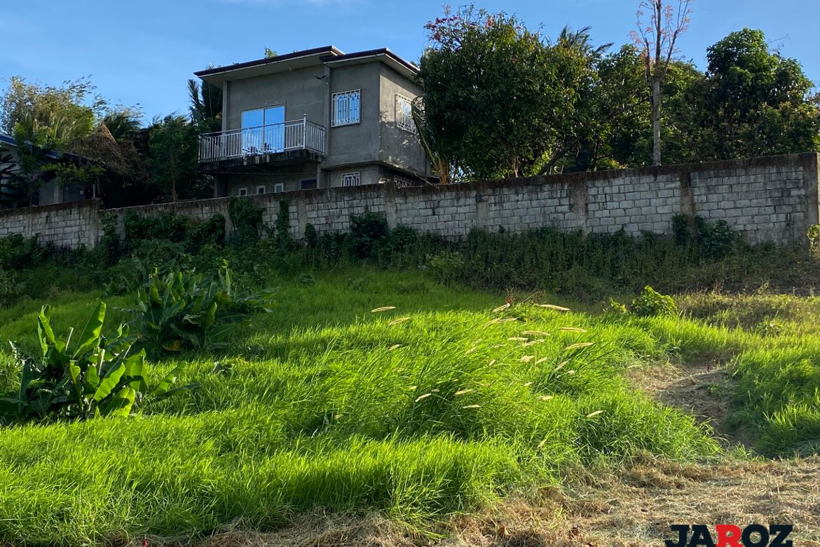 Land for Sale in Pajo, Alfonso, Cavite