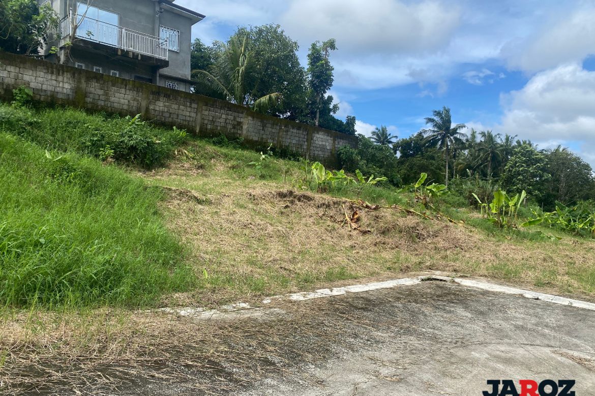 Land for Sale in Pajo, Alfonso, Cavite – photo 2