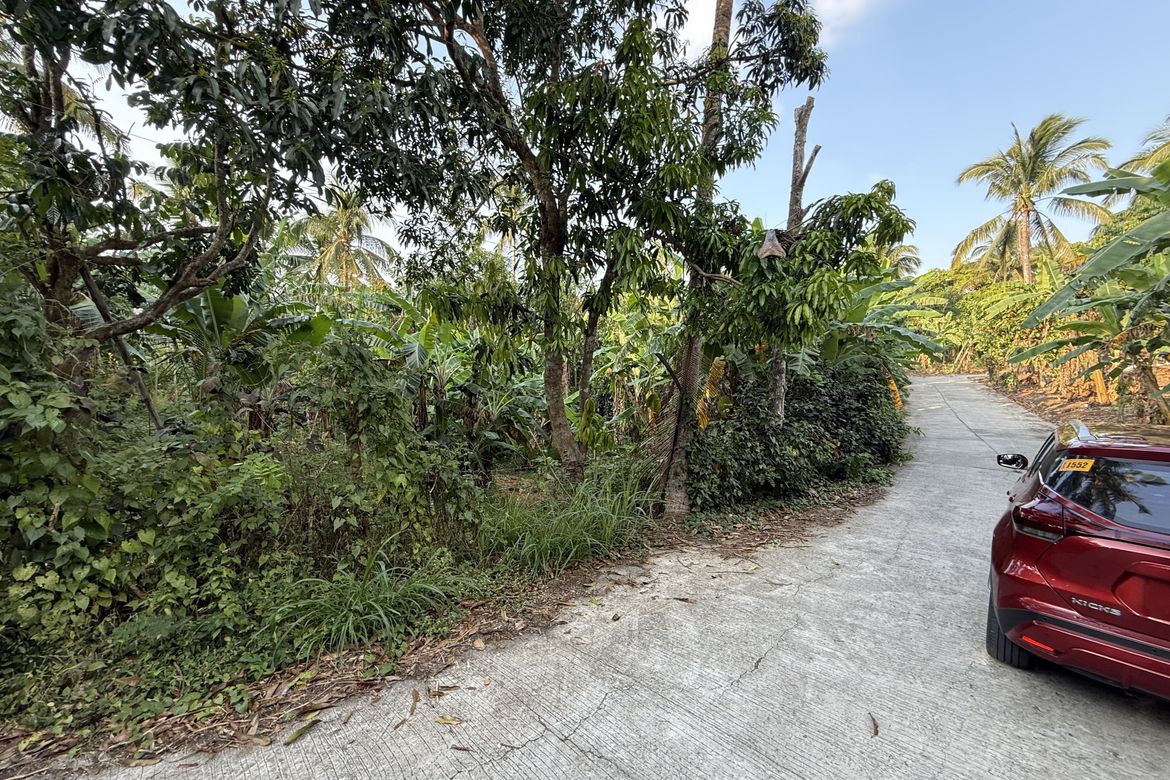 Land for Sale in Pajo, Alfonso, Cavite – photo 2