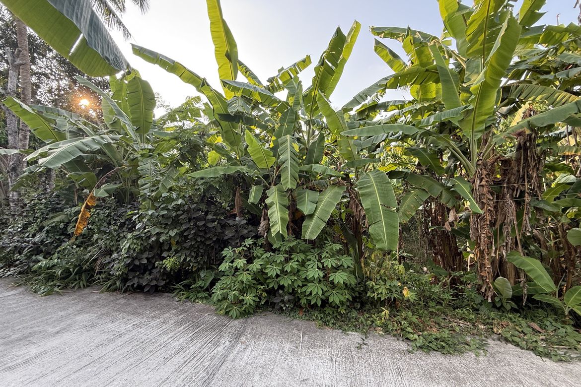 Land for Sale in Pajo, Alfonso, Cavite – photo 4