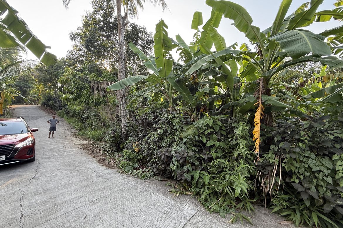 Land for Sale in Pajo, Alfonso, Cavite – photo 7