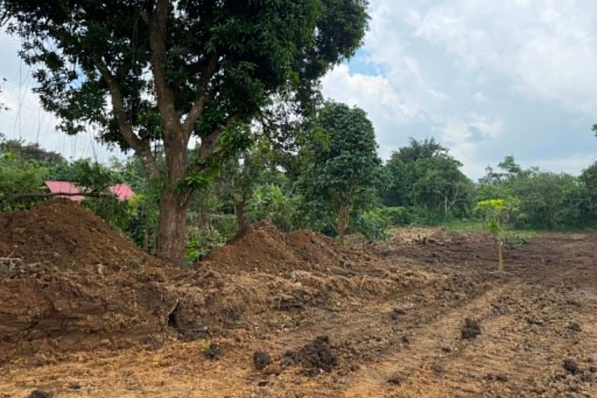 Land for Sale in Pajo, Alfonso, Cavite