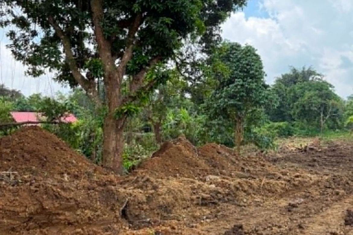 Land for Sale in Pajo, Alfonso, Cavite – photo 2
