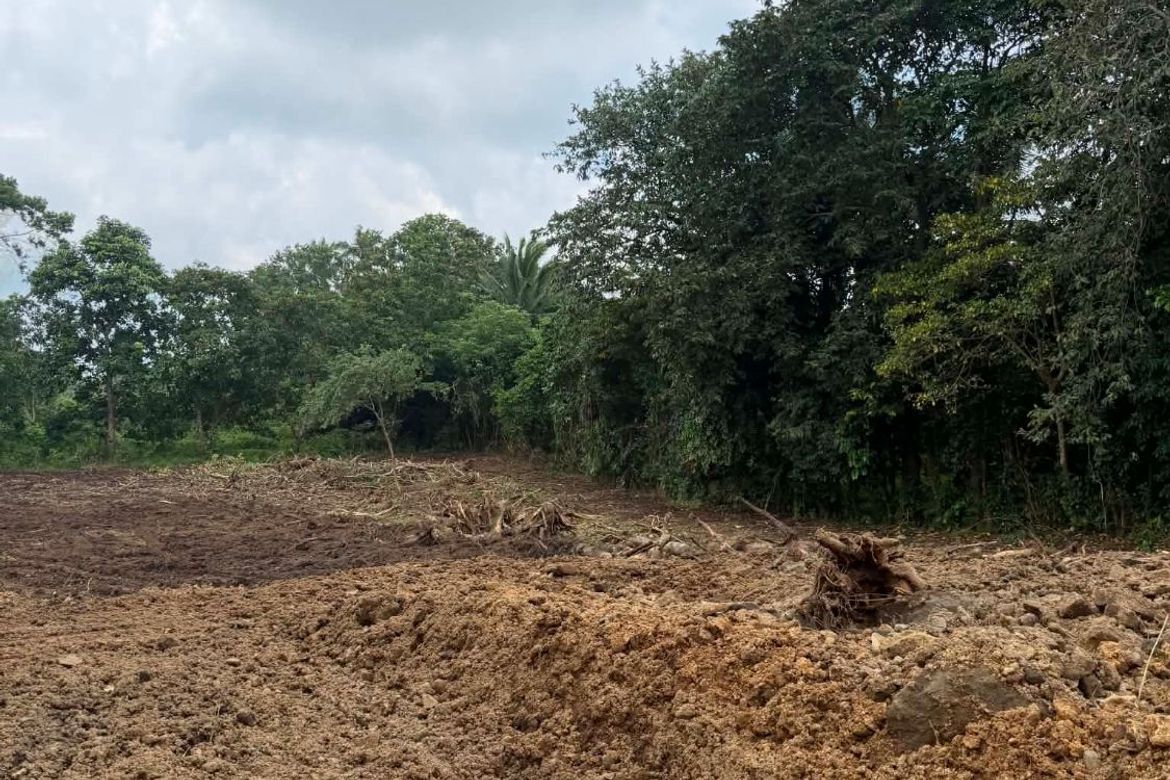 Land for Sale in Pajo, Alfonso, Cavite – photo 5