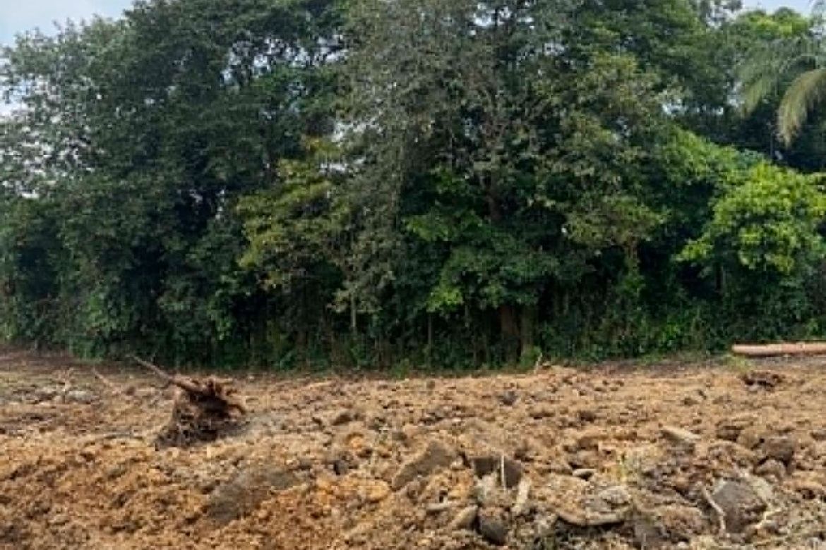 Land for Sale in Pajo, Alfonso, Cavite – photo 7