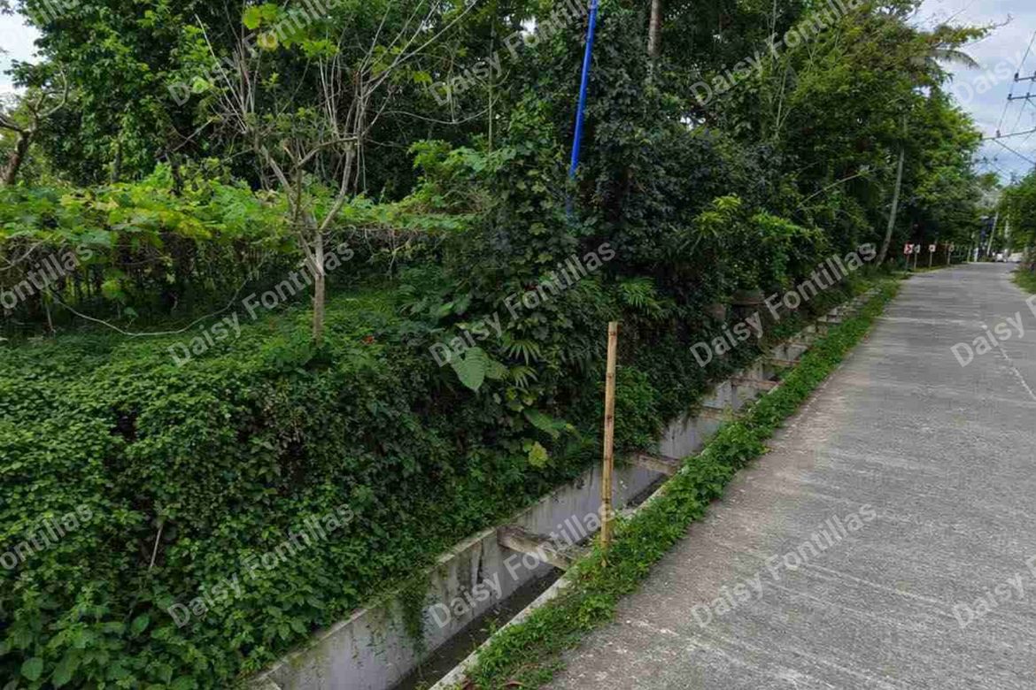 Land for Sale in Pajo, Alfonso, Cavite – photo 3