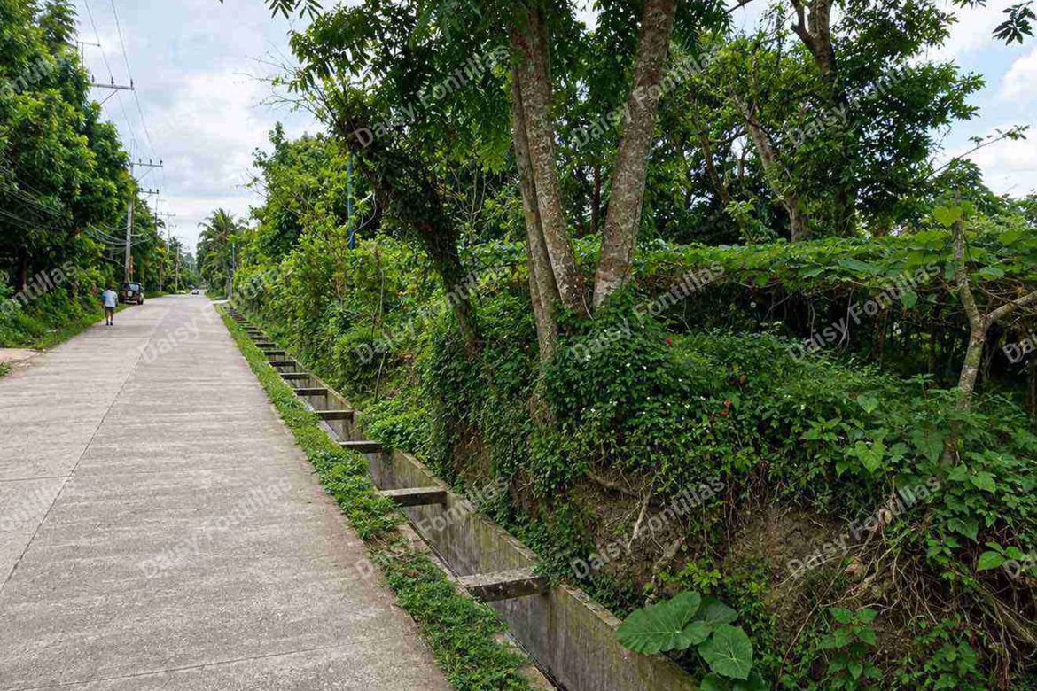 Land for Sale in Pajo, Alfonso, Cavite – photo 4