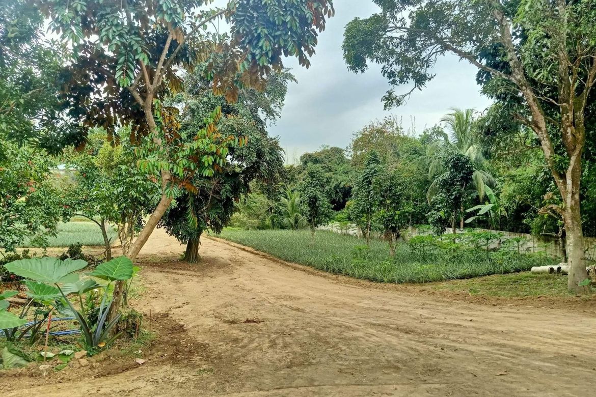 Land for Sale in Pajo, Alfonso, Cavite – photo 2