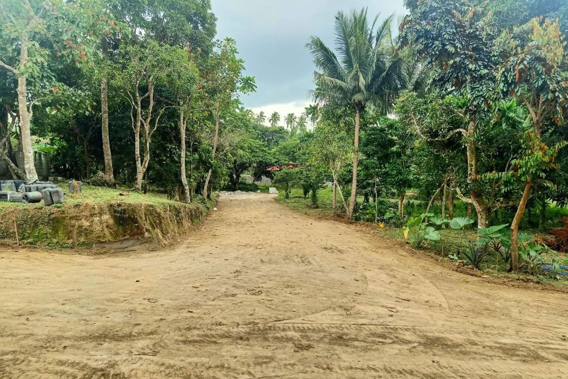 Land for Sale in Pajo, Alfonso, Cavite – photo 4