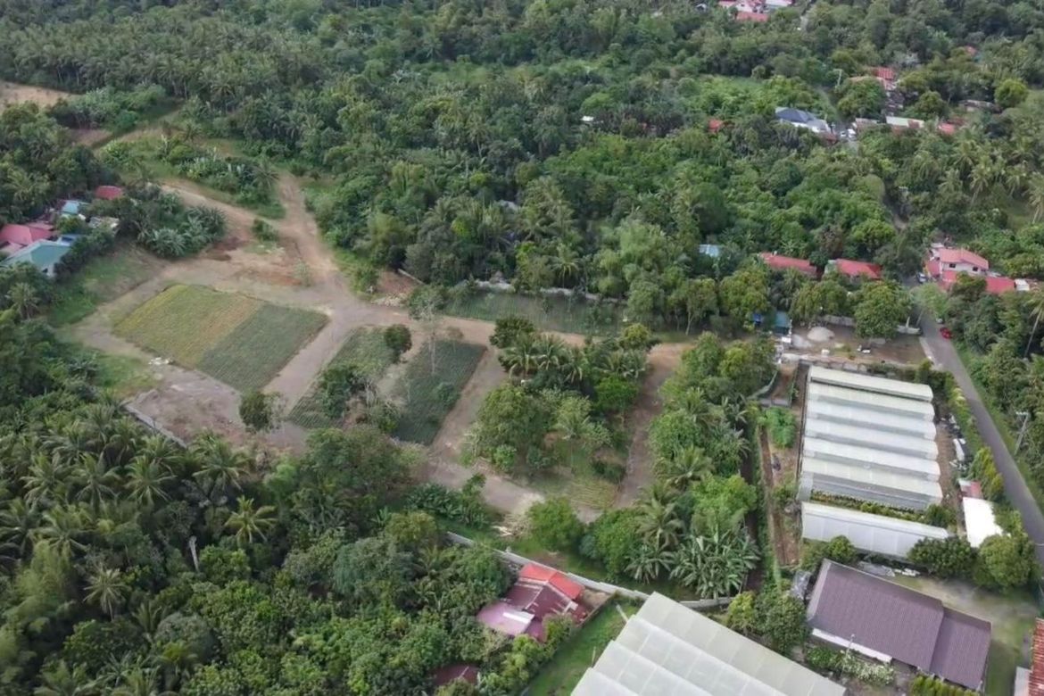 Land for Sale in Pajo, Alfonso, Cavite – photo 7