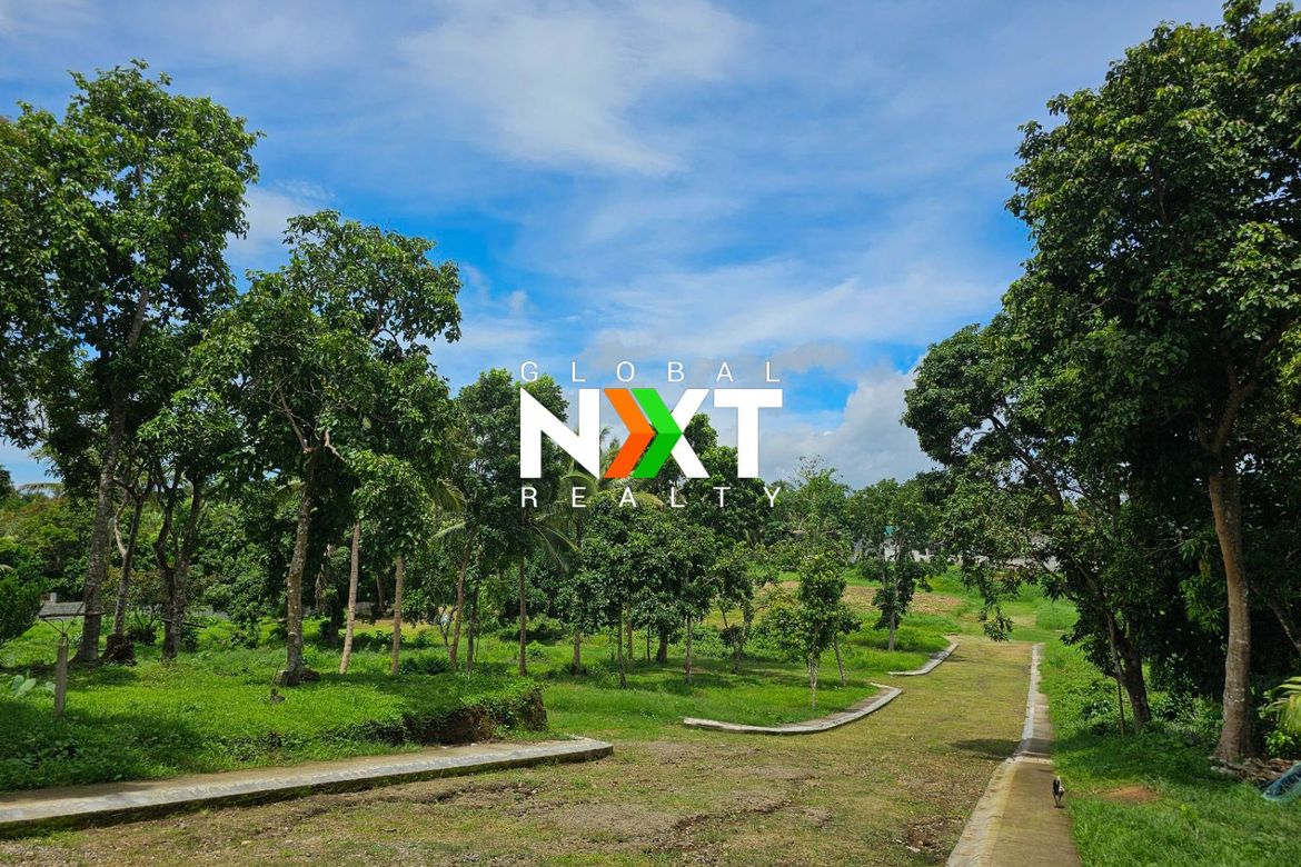 Land for Sale in Pajo, Alfonso, Cavite – photo 6