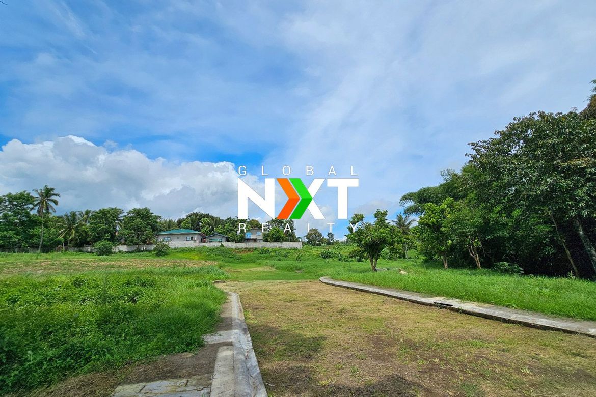 Land for Sale in Pajo, Alfonso, Cavite – photo 7