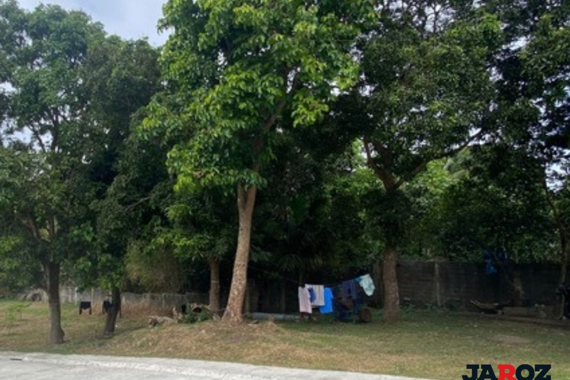 Land for Sale in Pajo, Alfonso, Cavite – photo 3