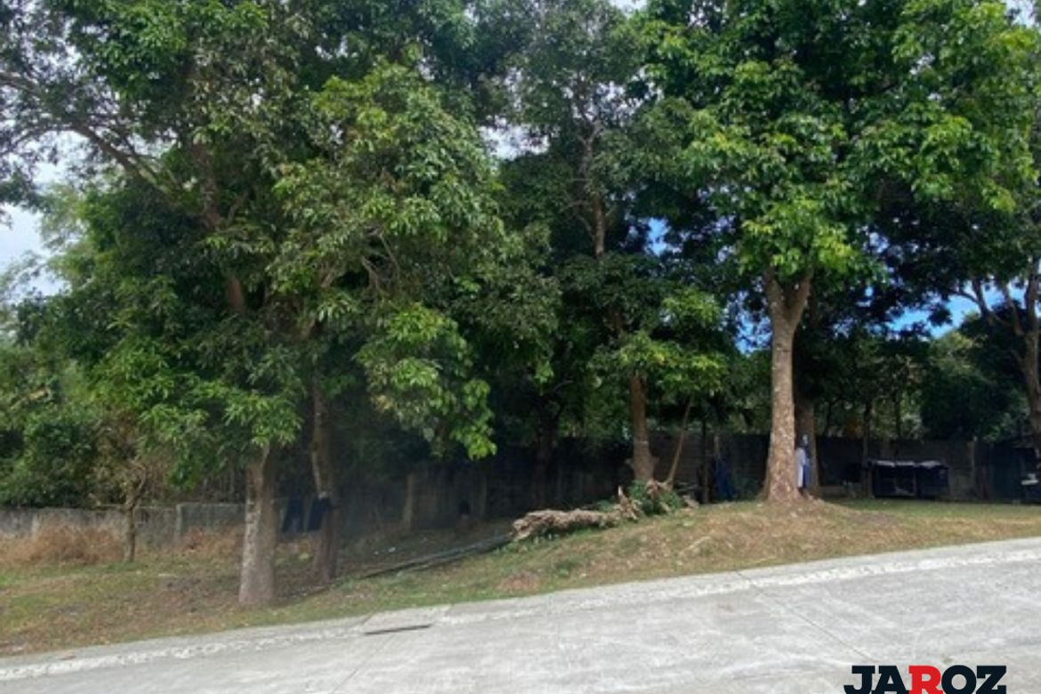 Land for Sale in Pajo, Alfonso, Cavite – photo 4