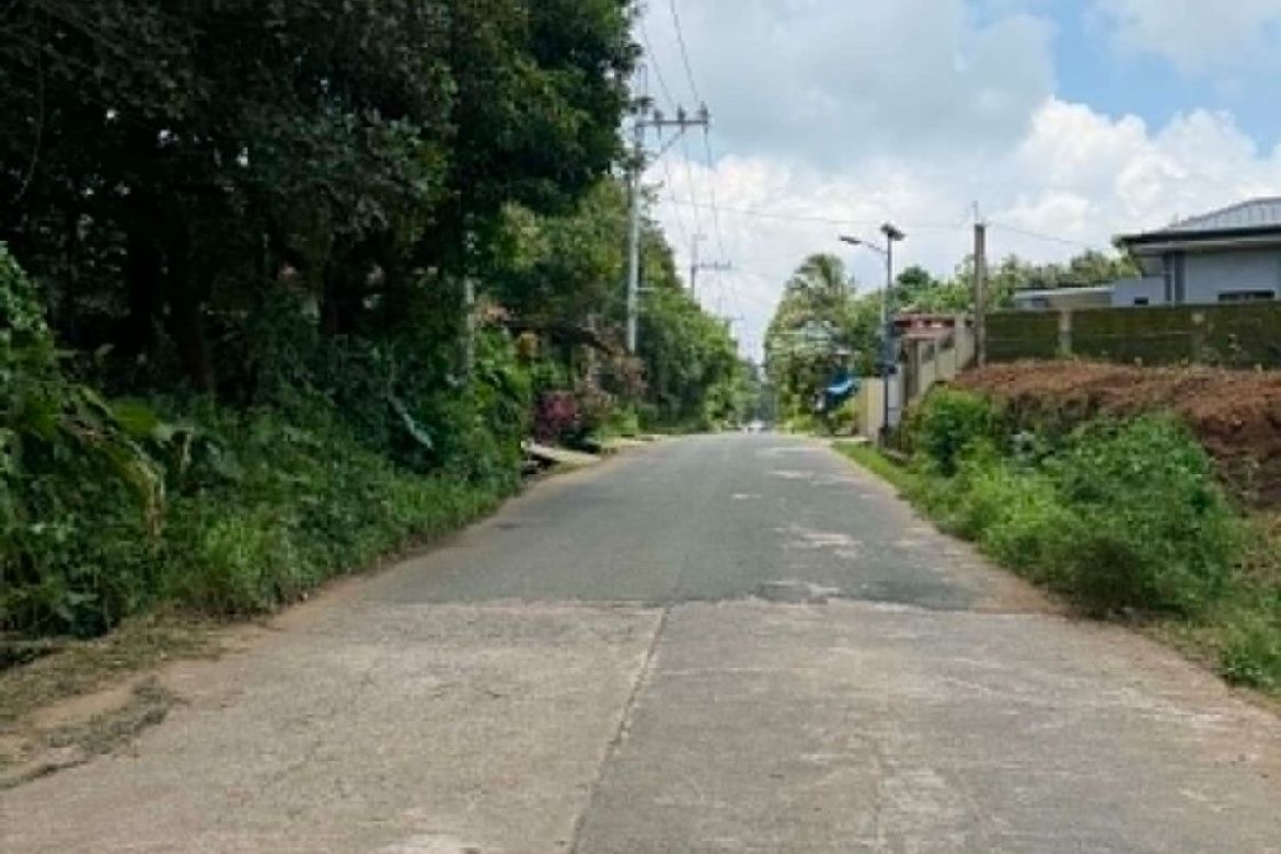 Land for Sale in Pajo, Alfonso, Cavite – photo 2