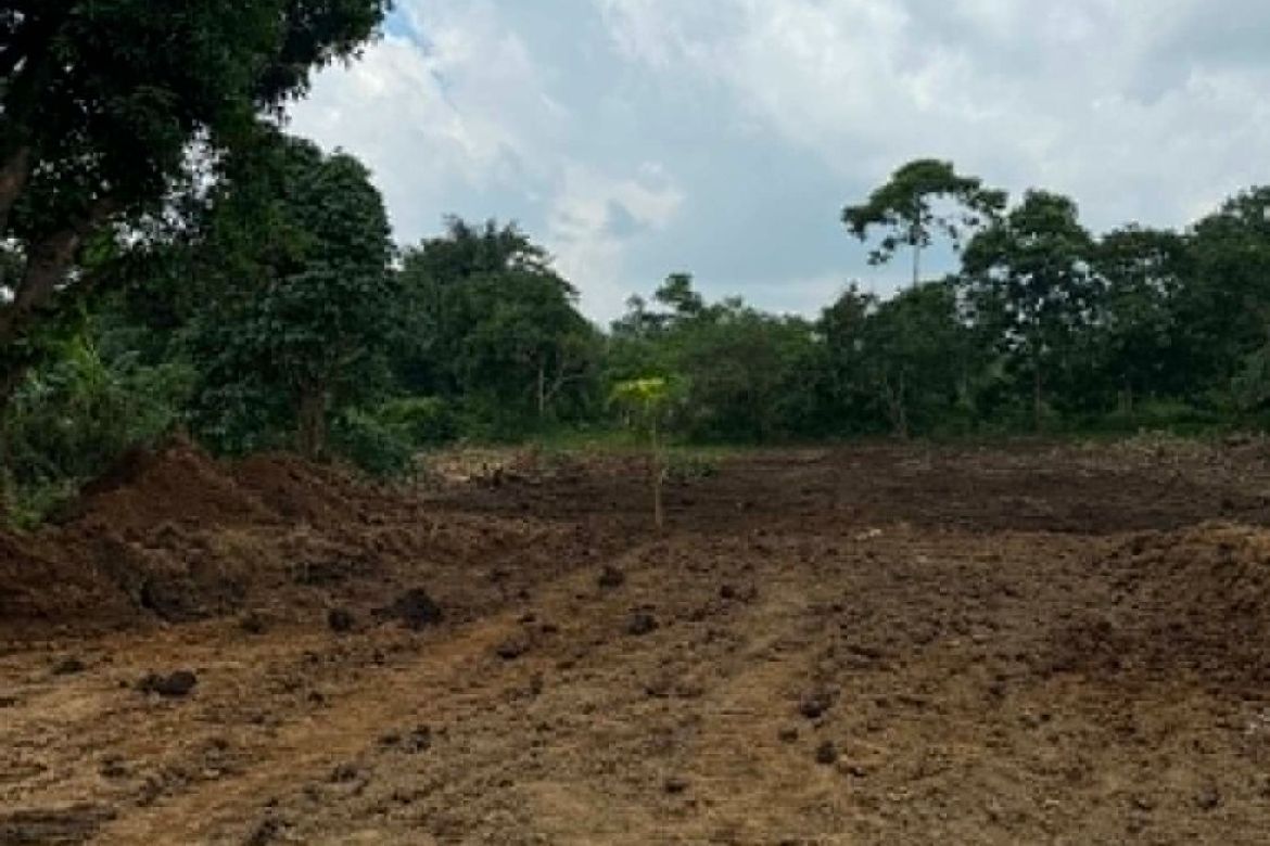 Land for Sale in Pajo, Alfonso, Cavite – photo 4