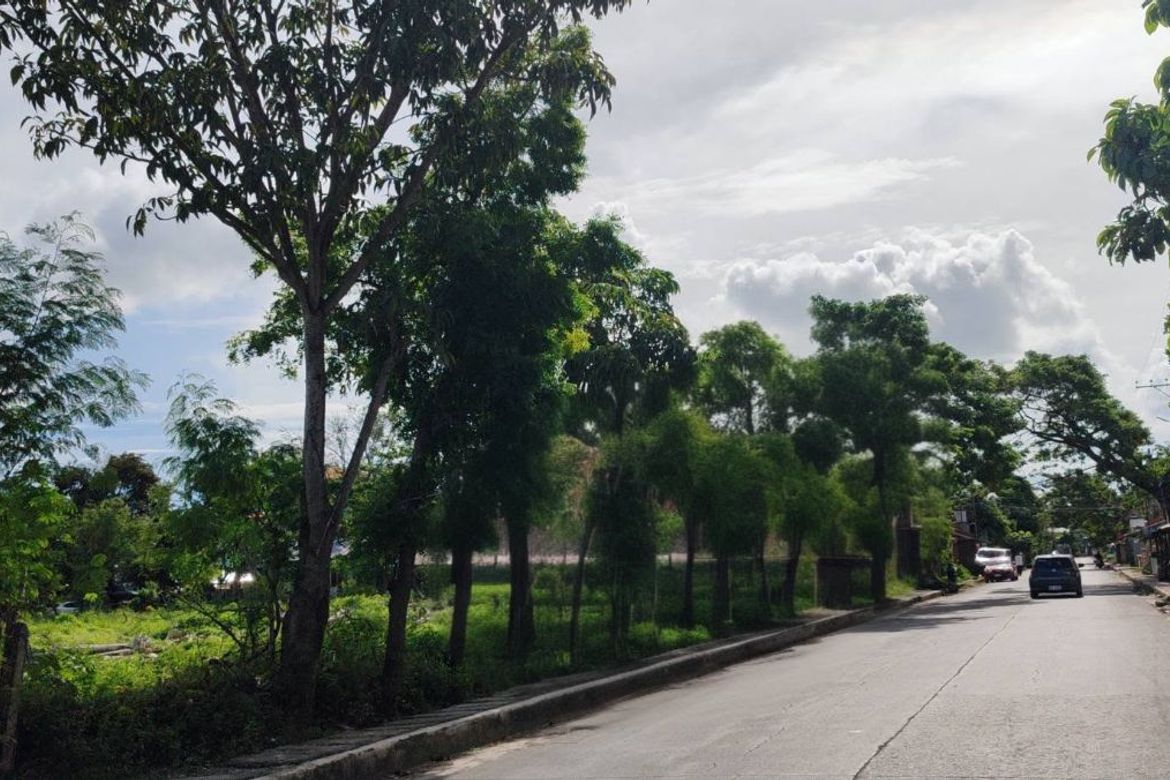 Land for Sale in Pajo, Lapu-Lapu, Cebu – photo 2