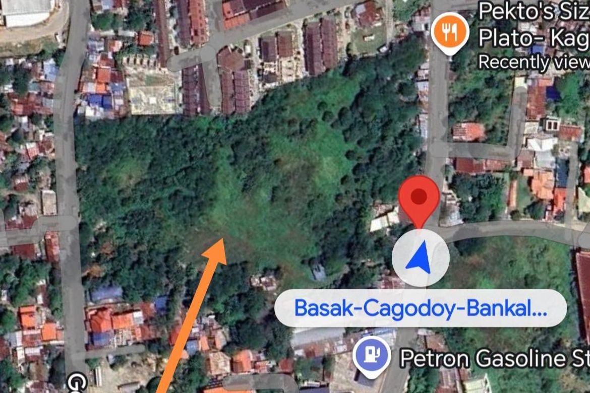 Land for Sale in Pajo, Lapu-Lapu, Cebu – photo 7