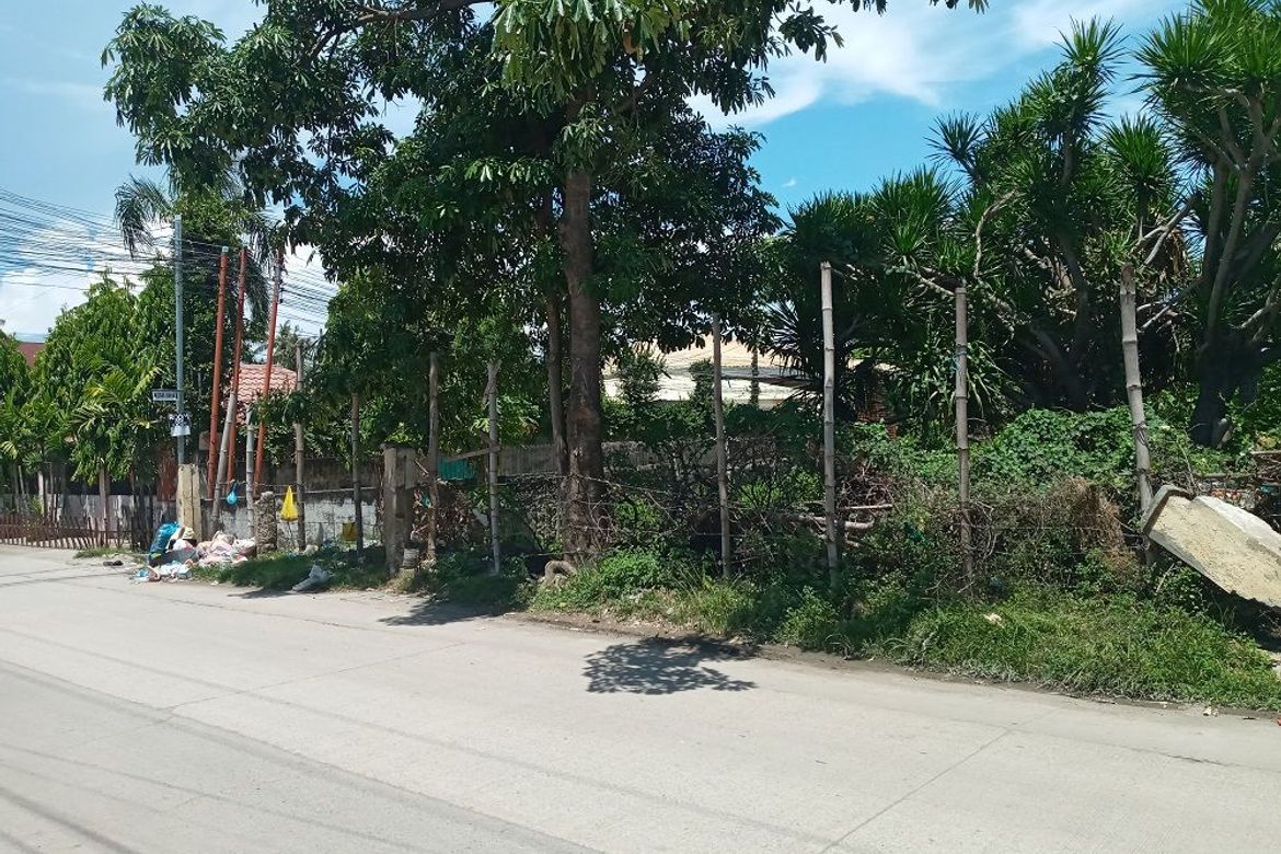 Land for Sale in Pajo, Lapu-Lapu, Cebu – photo 6
